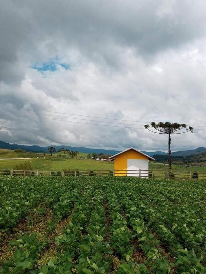 Cabana Caminho Das Borboletas บง เฮทิโร ภายนอก รูปภาพ