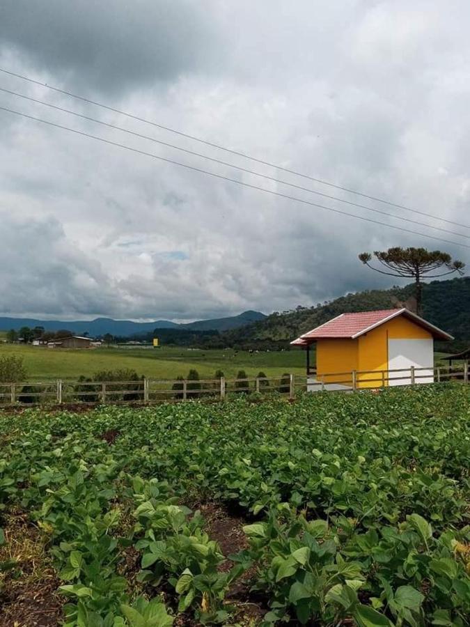 Cabana Caminho Das Borboletas บง เฮทิโร ภายนอก รูปภาพ
